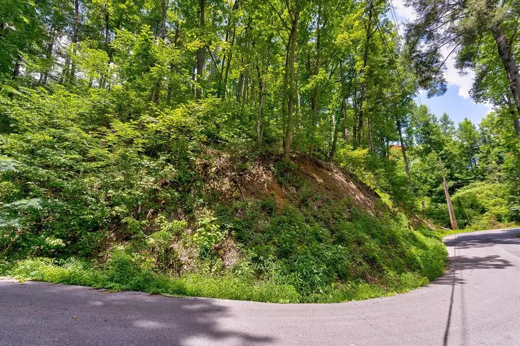 Gatlinburg, TN 37738,Lot 510 Crooked Ridge RD