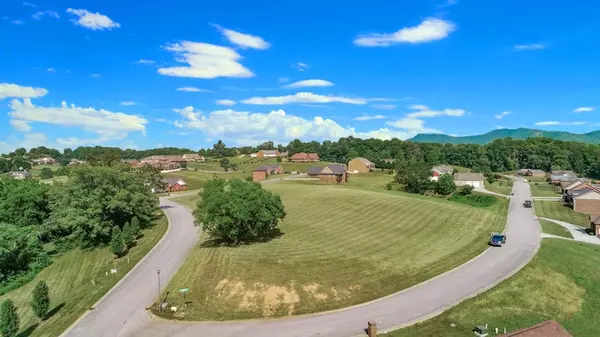 Sevierville, TN 37862,Lot 132 Laurel Falls LN