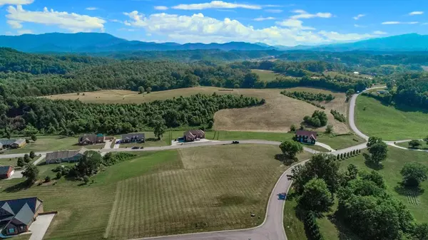 Sevierville, TN 37862,Lot 133 Mountain Valley LN