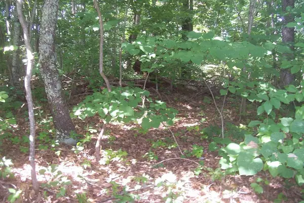 Lot 78 Muscadine CT, Sevierville, TN 37876