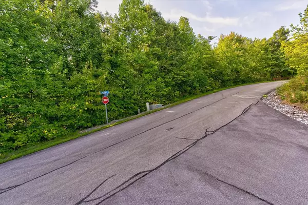 Sevierville, TN 37862,Lot 65E Redtail RD