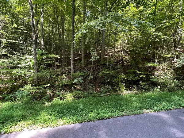 Gatlinburg, TN 37738,Lot 27 C Highland