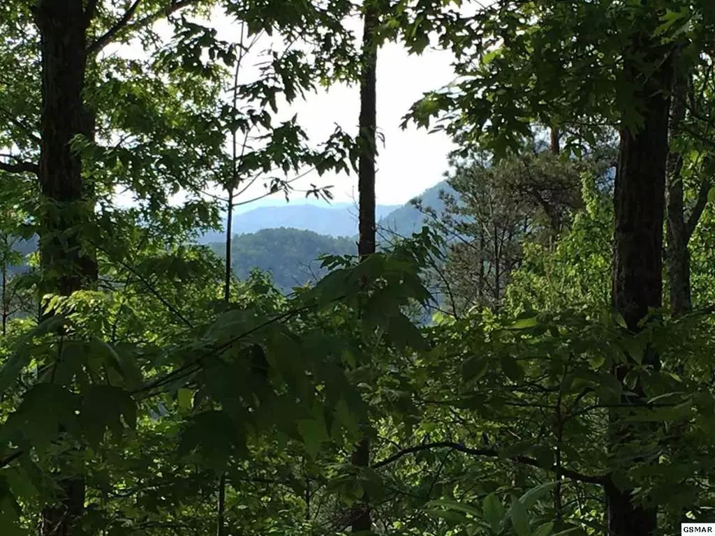 Sevierville, TN 37862,LOT 30 RIDGEBACK LN