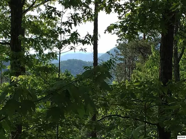 LOT 30 RIDGEBACK LN, Sevierville, TN 37862