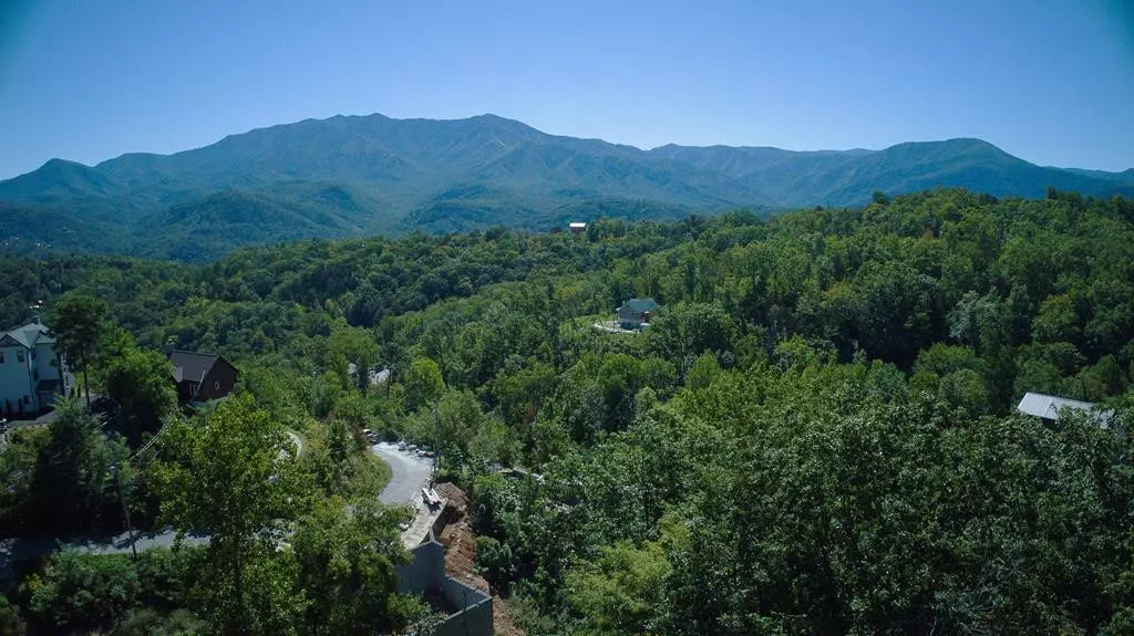 Gatlinburg, TN 37738,914 Elm RD