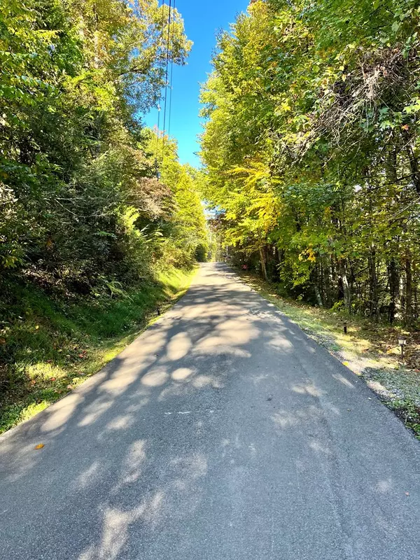 Gatlinburg, TN 37738,Lot 45 C Highland