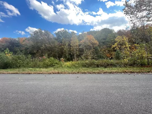 Newport, TN 37821,Lot 39 English Fields DR