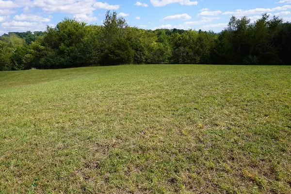 Dandridge, TN 37725,Lot 3 BR Parkview