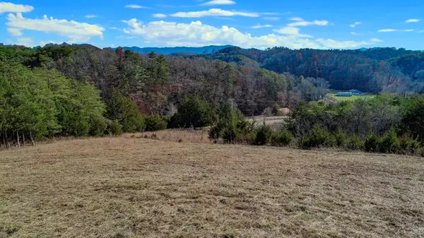 Parrotsville, TN 37843,10.96 Ac Aldro WAY