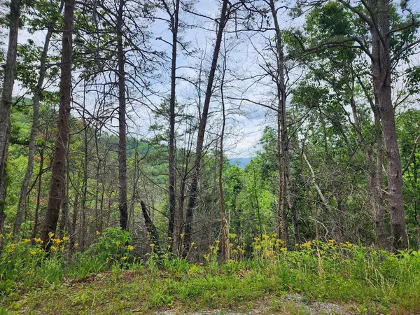 Sevierville, TN 37862,Lot 20 Sugar Maple Loop RD