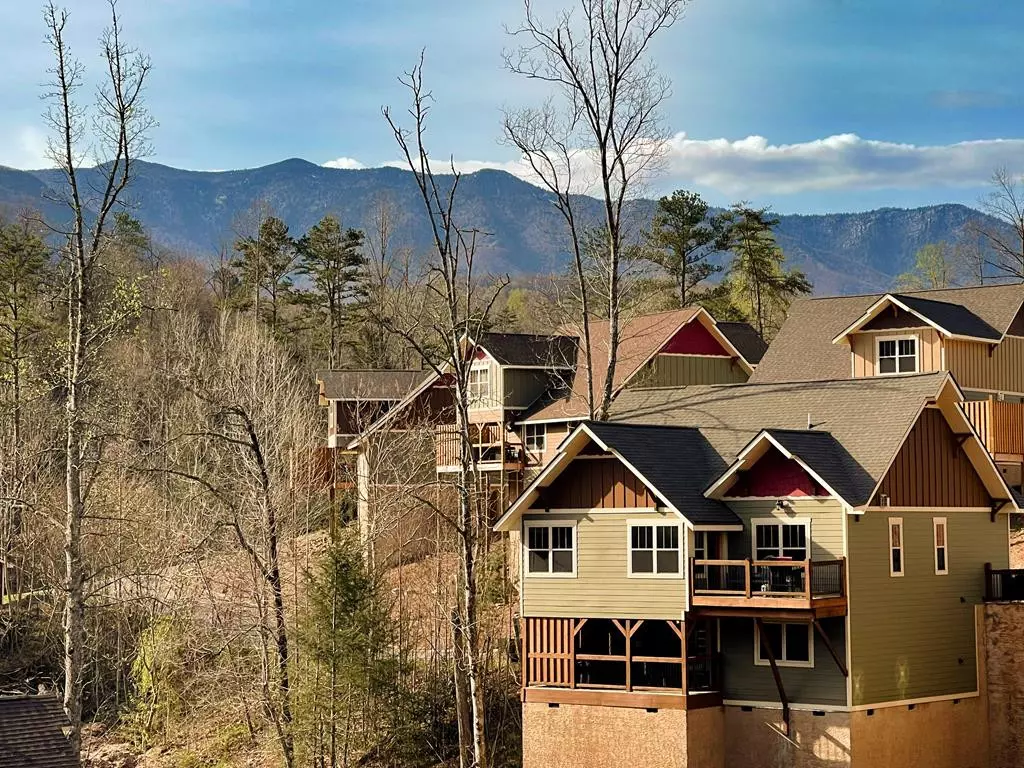 Gatlinburg, TN 37738,1119 Anastasia WAY