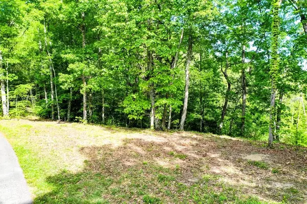 Lot 23R Sandy Ridge RD, Dandridge, TN 37725