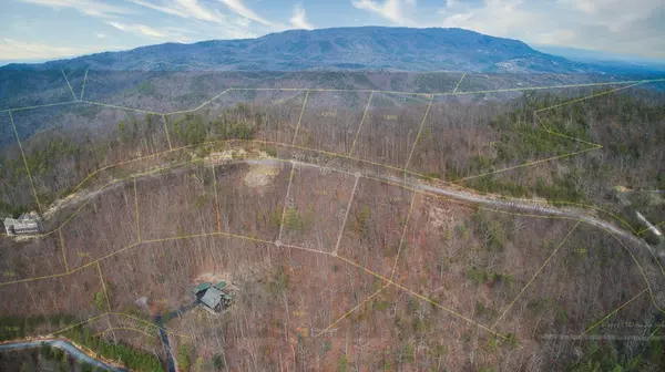 Sevierville, TN 37862,Lot 115E SETTLERS VIEW LN