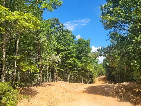 Newport, TN 37821,LOT 8 Splashaway RD