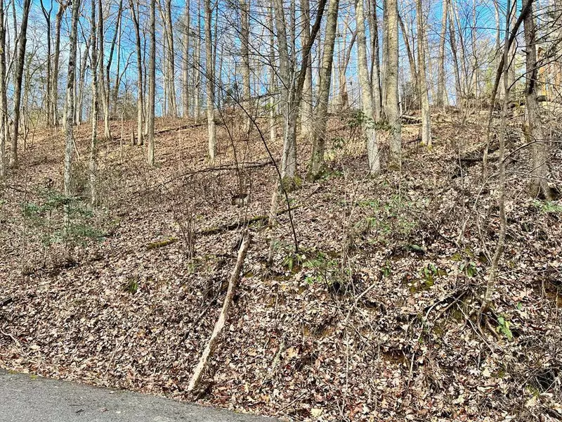 Lot 30 C Highland, Gatlinburg, TN 37738