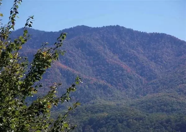 Gatlinburg, TN 37738,Scenic TRL