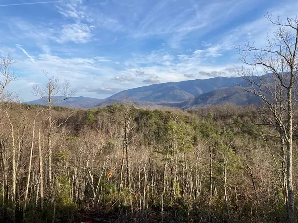 Gatlinburg, TN 37738,1042 Mathis Hollow RD