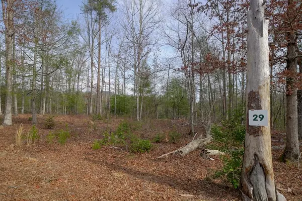 Sevierville, TN 37876,Lot 29 Lot 29 Mountain Ash WAY