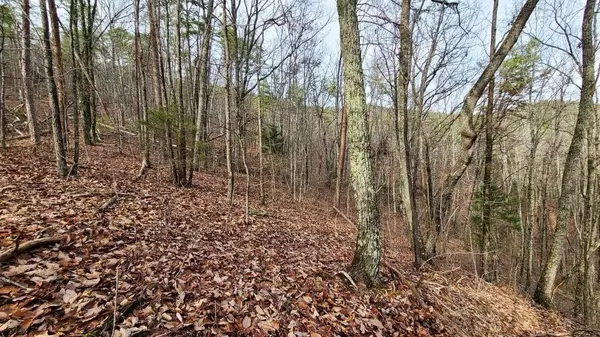 Lot 103 Cherokee CIR, Tallassee, TN 37878