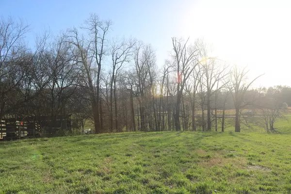 Dandridge, TN 37725,Lot 22 County Line RD