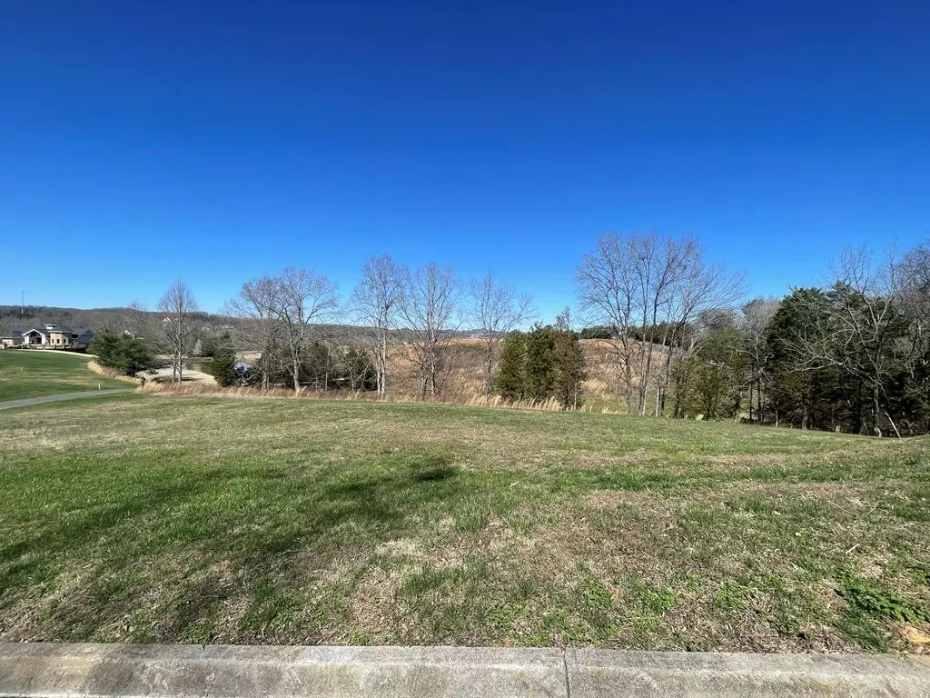 Sevierville, TN 37876,Lot 5 Pheasant Ridge RD