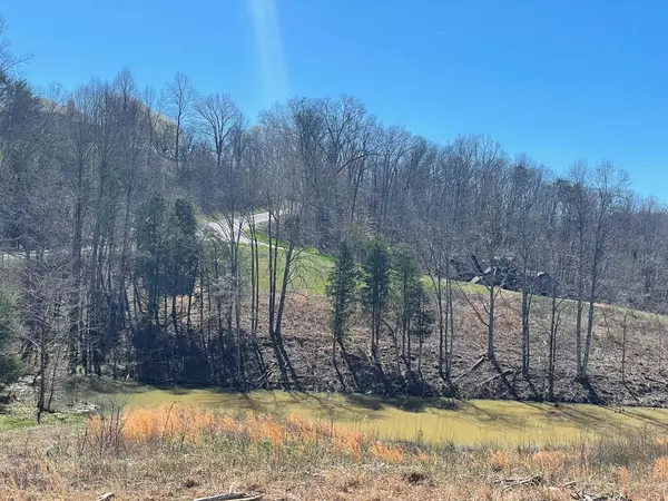 Sevierville, TN 37876,Lot 5 Pheasant Ridge RD