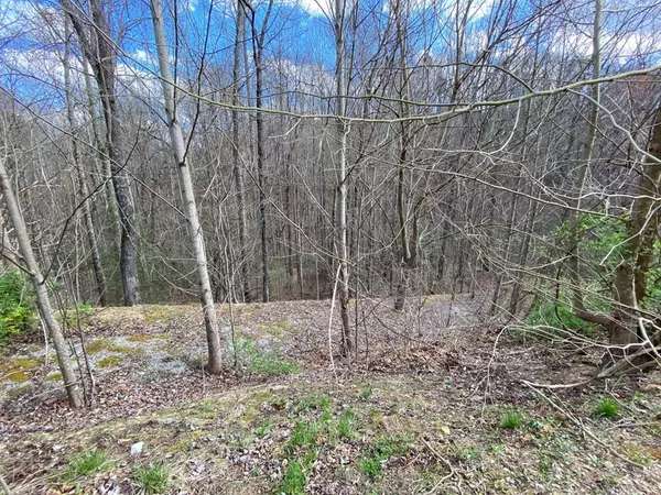 Sevierville, TN 37862,Jones Creek LN