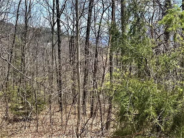 Sevierville, TN 37862,LOT 152E HARMONY HILL LN