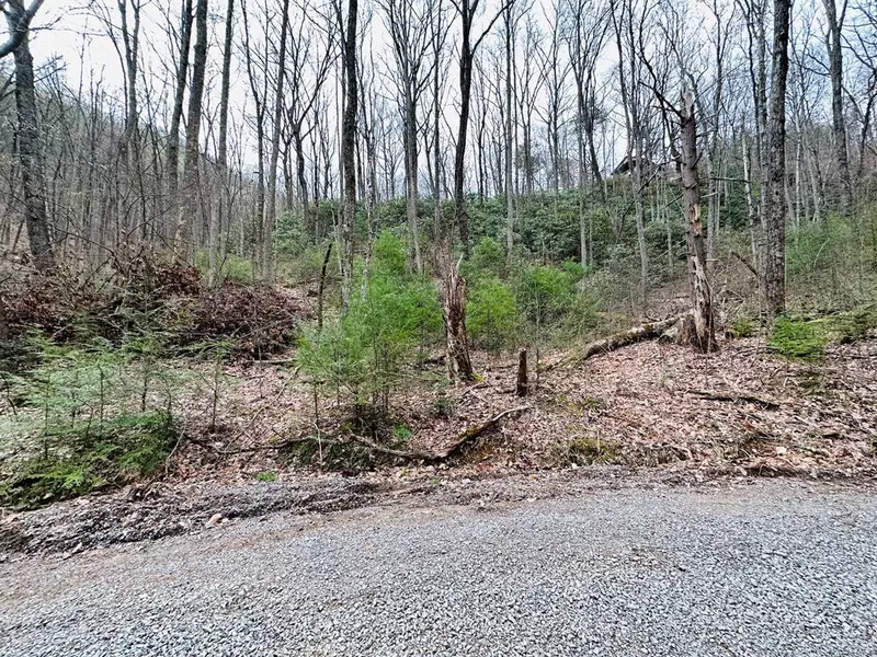 Lot 8 Brooke Hollow LN, Sevierville, TN 37862