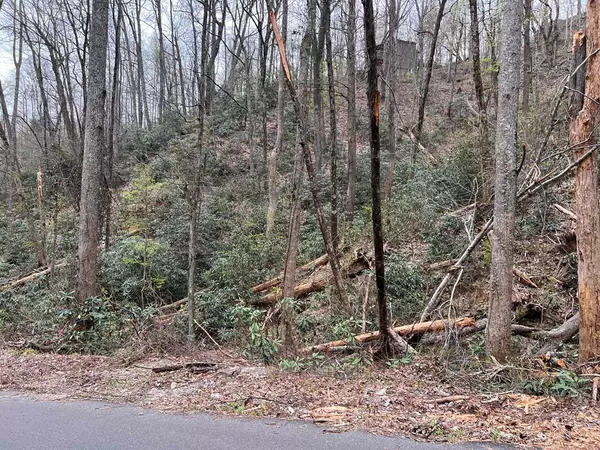 Gatlinburg, TN 37738,Lot 12 Heiden DR