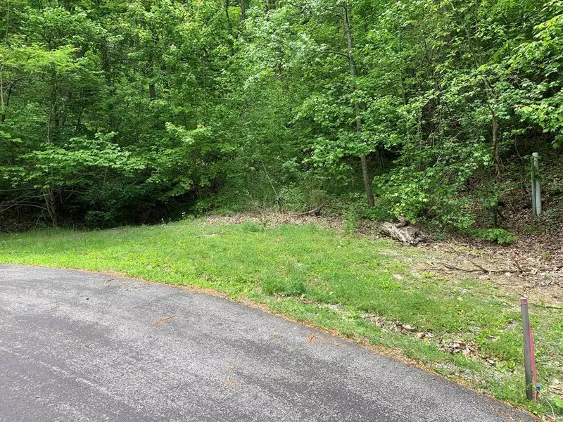 Lot 12 Whetstone RD, Sevierville, TN 37862