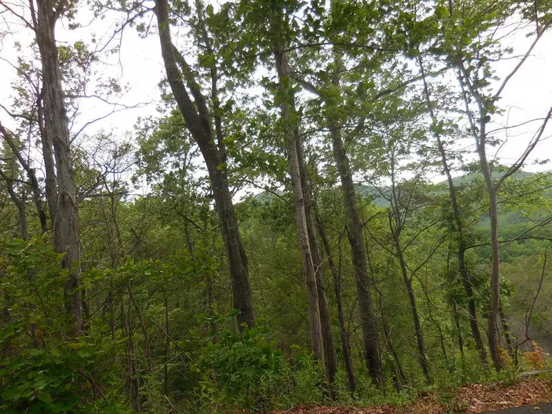 Lot 7 Sugar Maple Loop RD, Sevierville, TN 27725