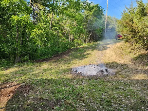 Sevierville, TN 37876,Lot 7 Arden LN