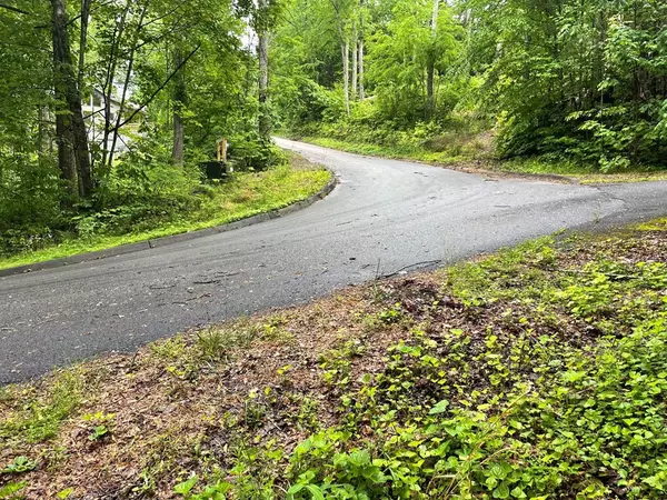 Sevierville, TN 37862,LOT 8 BURNING TREE LN