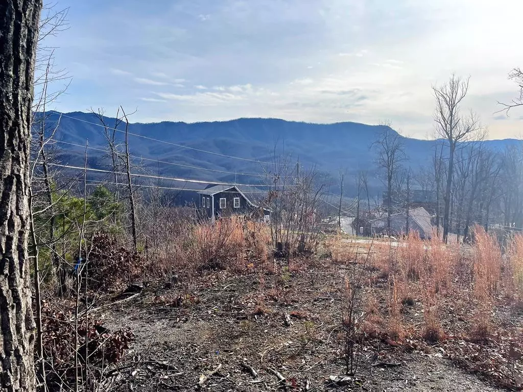 Gatlinburg, TN 33738,Pine Top