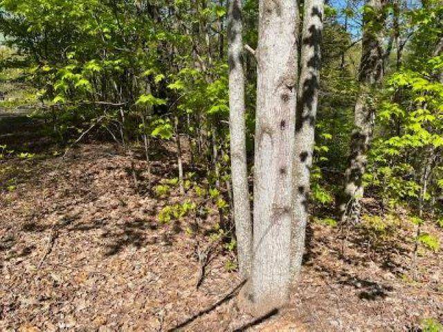Lot 72 Poplar PL, Sevierville, TN 37876