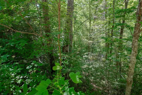 Gatlinburg, TN 37738,Lot 33 Ownby CIR