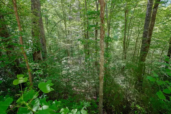 Gatlinburg, TN 37738,Lot 34 Ownby CIR