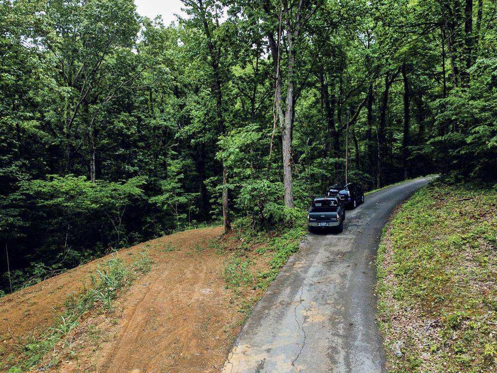 Blowing Cave RD, Sevierville, TN 37876