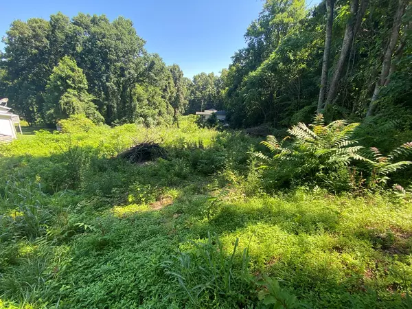 Sevierville, TN 37876,1932 Big Chiefs Skyview DR