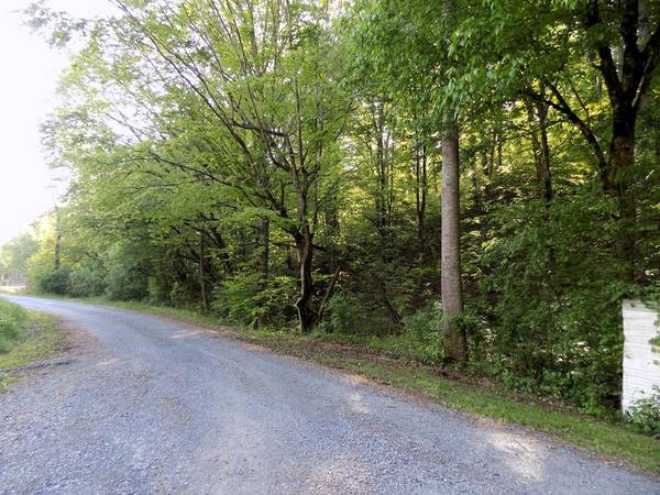 Par 023.04 Driftwood RD, Cosby, TN 37722