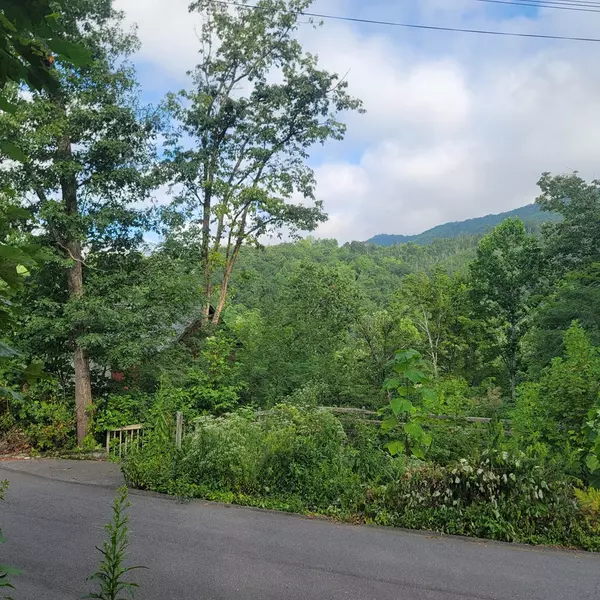 Gatlinburg, TN 37738,819 Pine Top LN