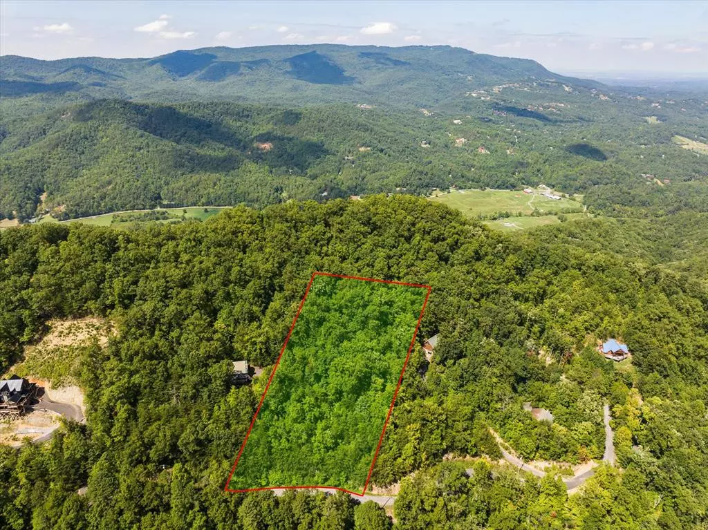 Sevierville, TN 37862,Lot 2A Overholt TRL