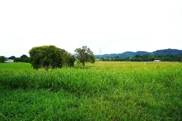 Lot 2 Mt. Horeb RD, Jefferson City, TN 37760