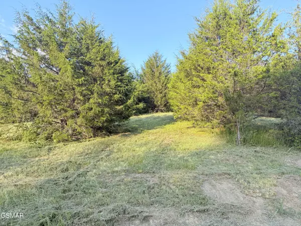 Bybee, TN 37713,790 Lonesome Pine RD