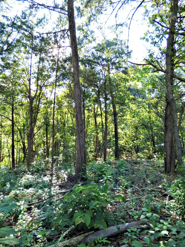 Dandridge, TN 37725,Lot 13RB Hilltop RD