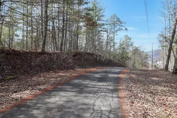 Sevierville, TN 37876,Birds Creek RD