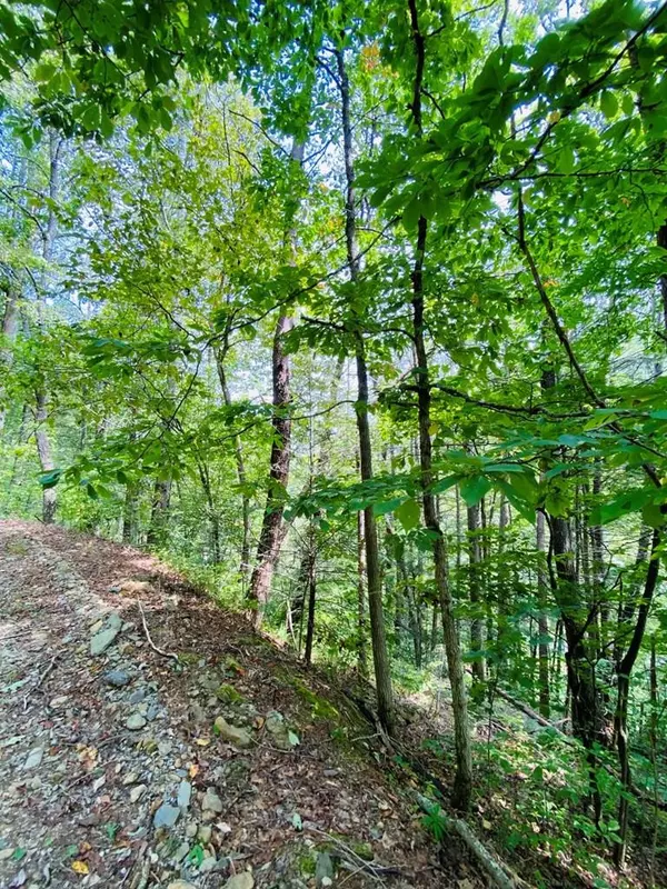 Lot 18, Sevierville, TN 37862