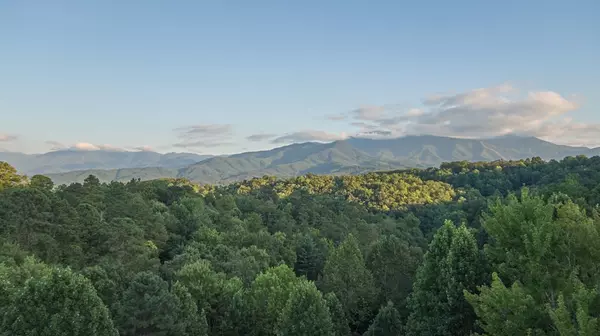 Gatlinburg, TN 37738,724 Littlefoot LN