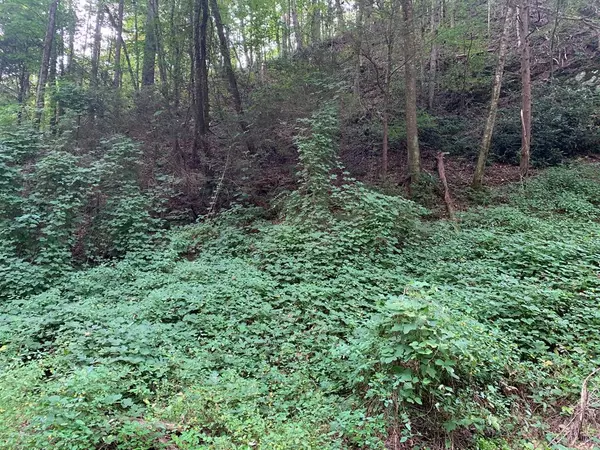 Lot 40 Black Walnut Flats RD, Sevierville, TN 37862